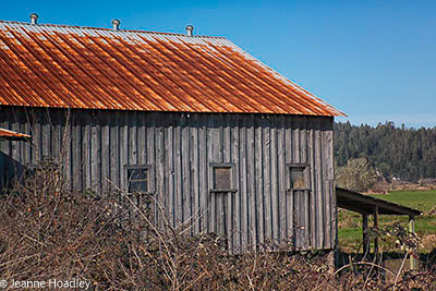 Coquille River Barn