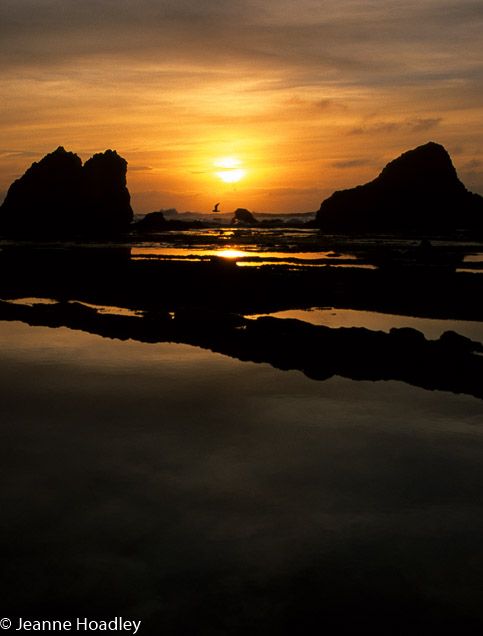 Sel Rocks Sunset