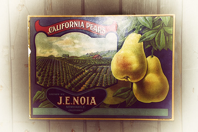 pear_label