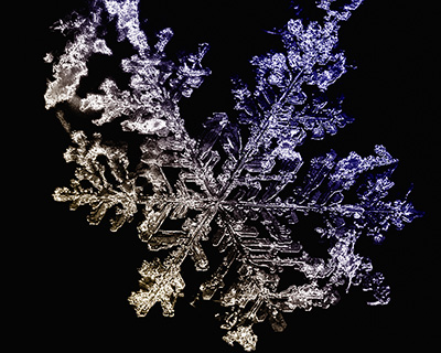 snowflake1a