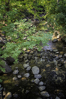 Ashland_Creek
