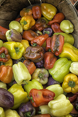 Fall_peppers