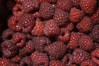 Raspberries