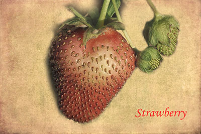 Strawberry
