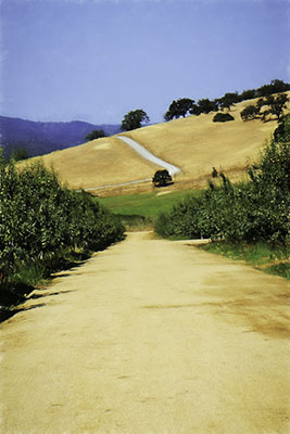Tuscan_hills