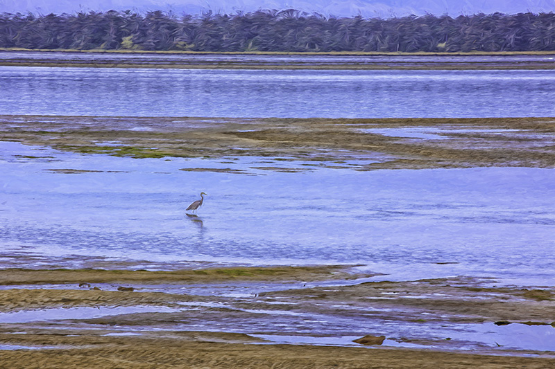 BlueHeron