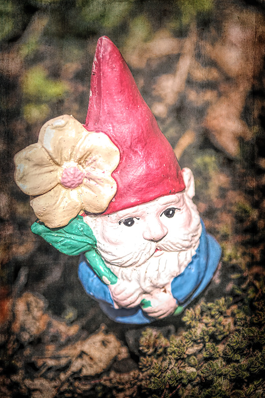 Gnome