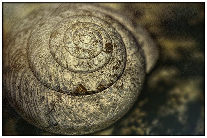 Spiral_Textured