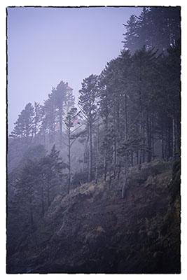 Heceta_Head_Ligh
