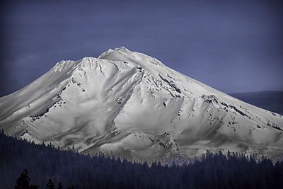 Shasta