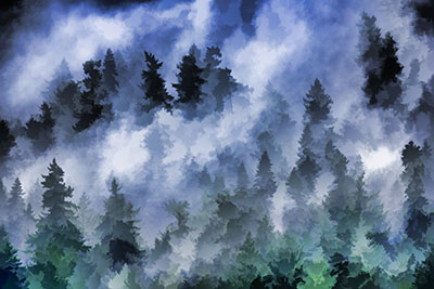 Treesinmist_simplified