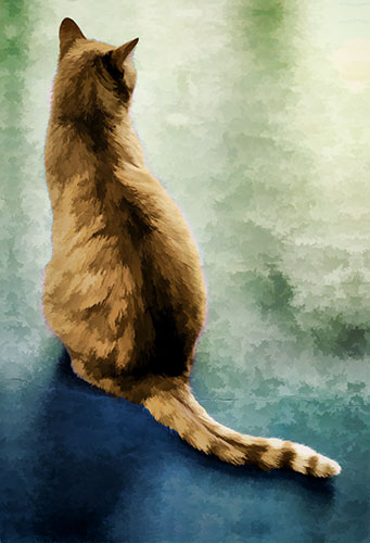 Impressionistic image of an orange cat