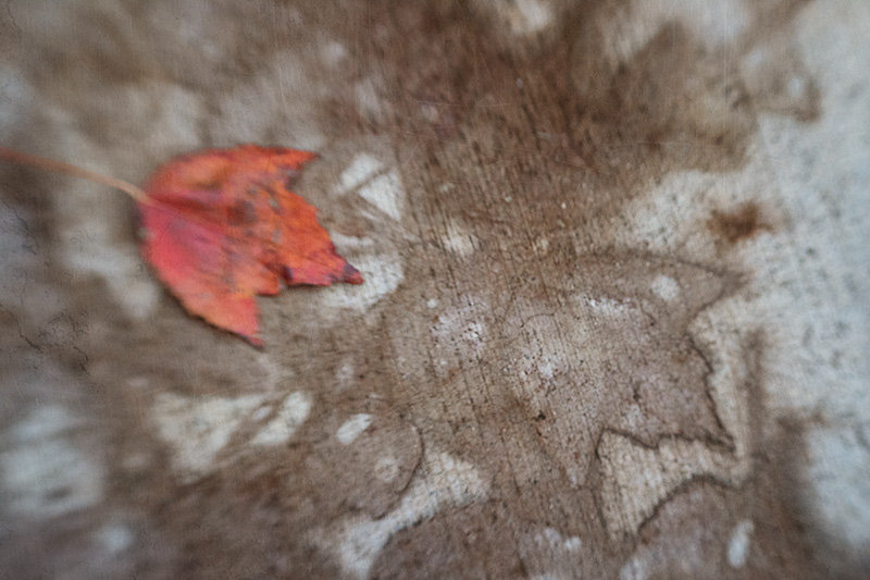 LeafPrint