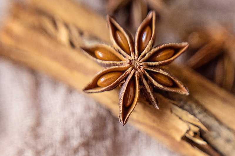Star_Anise