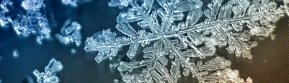 One Hundred Days of Winter